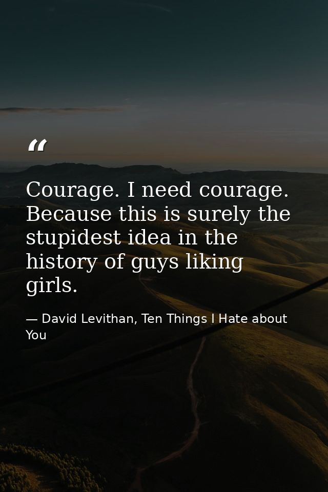 Courage. I need courage. Because this is surely the stupidest idea in the history of guys liking girls. — David Levithan, Ten Things I Hate about You