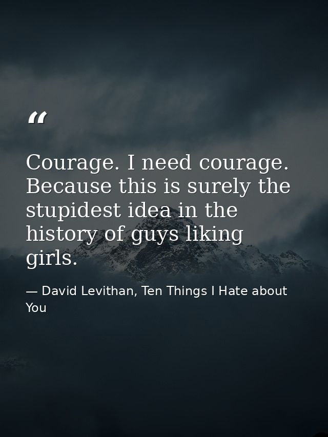 Courage. I need courage. Because this is surely the stupidest idea in the history of guys liking girls. — David Levithan, Ten Things I Hate about You
