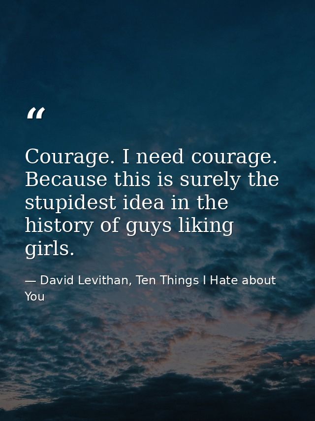 Courage. I need courage. Because this is surely the stupidest idea in the history of guys liking girls. — David Levithan, Ten Things I Hate about You