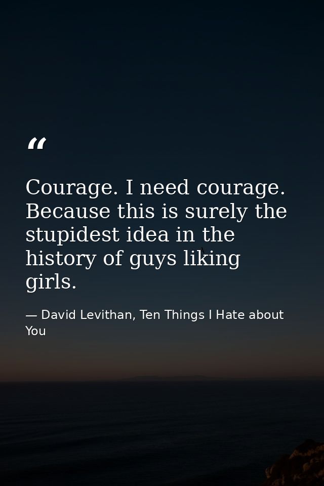 Courage. I need courage. Because this is surely the stupidest idea in the history of guys liking girls. — David Levithan, Ten Things I Hate about You