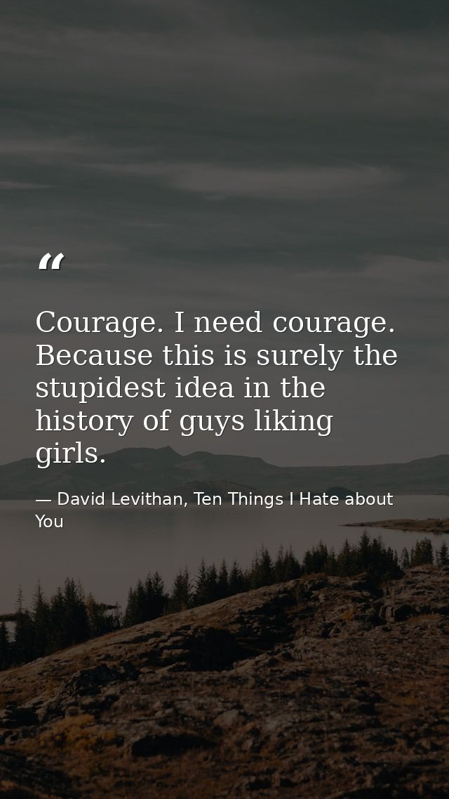 Courage. I need courage. Because this is surely the stupidest idea in the history of guys liking girls. — David Levithan, Ten Things I Hate about You
