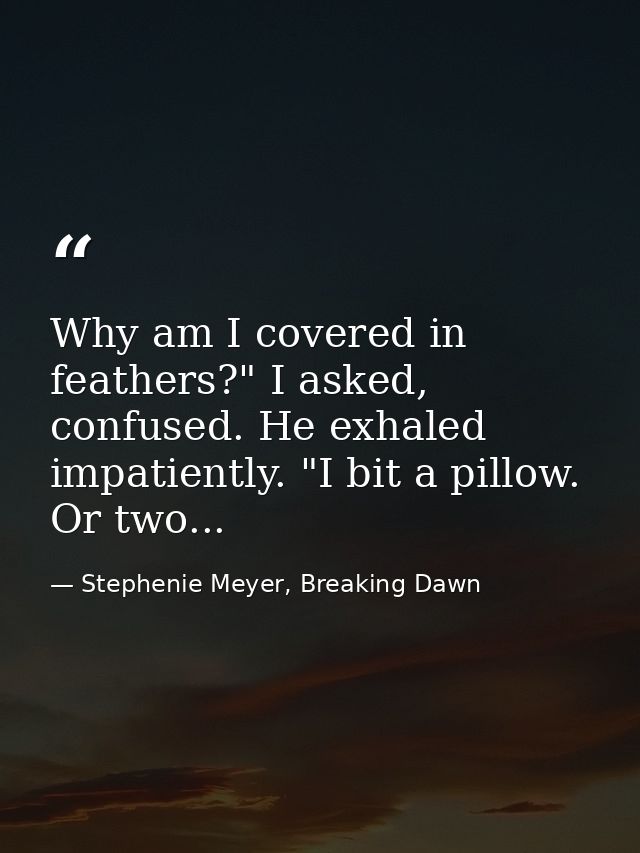 Why am I covered in feathers?" I asked, confused. He exhaled impatiently. "I bit a pillow. Or two... — Stephenie Meyer, Breaking Dawn