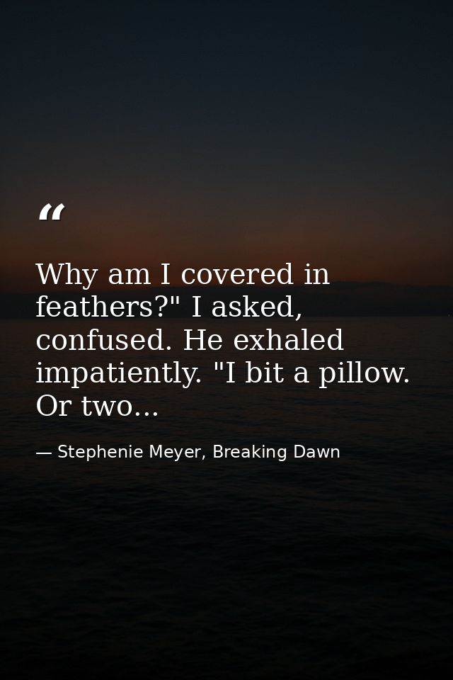 Why am I covered in feathers?" I asked, confused. He exhaled impatiently. "I bit a pillow. Or two... — Stephenie Meyer, Breaking Dawn