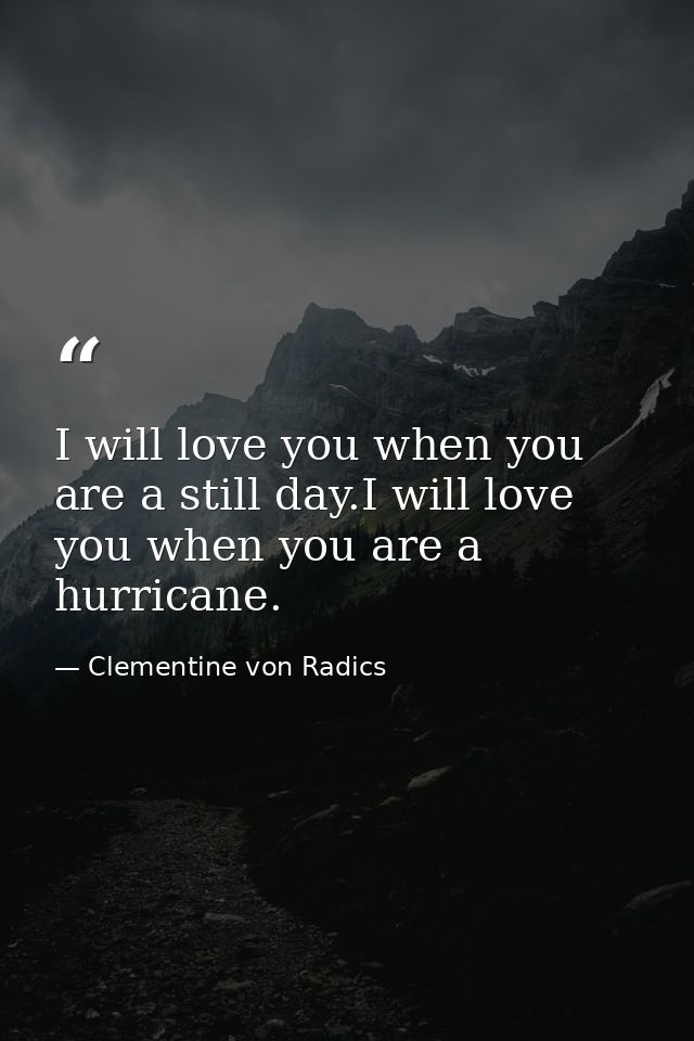 I will love you when you are a still day.I will love you when you are a hurricane. — Clementine von Radics
