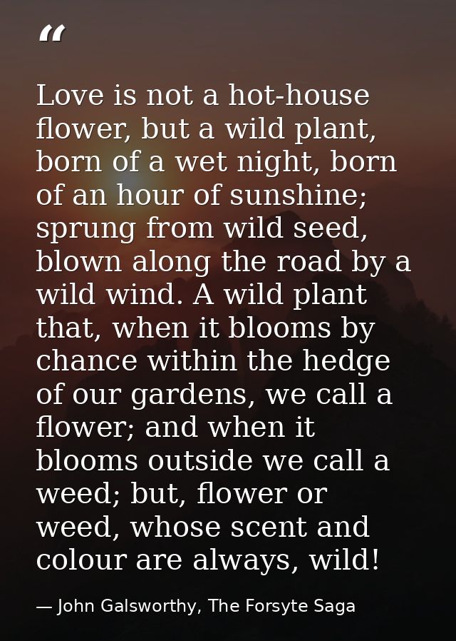 Love is not a hot-house flower, but a wild plant, born of a wet night, born of an hour of sunshine; sprung from wild see — John Galsworthy, The Forsyte Saga