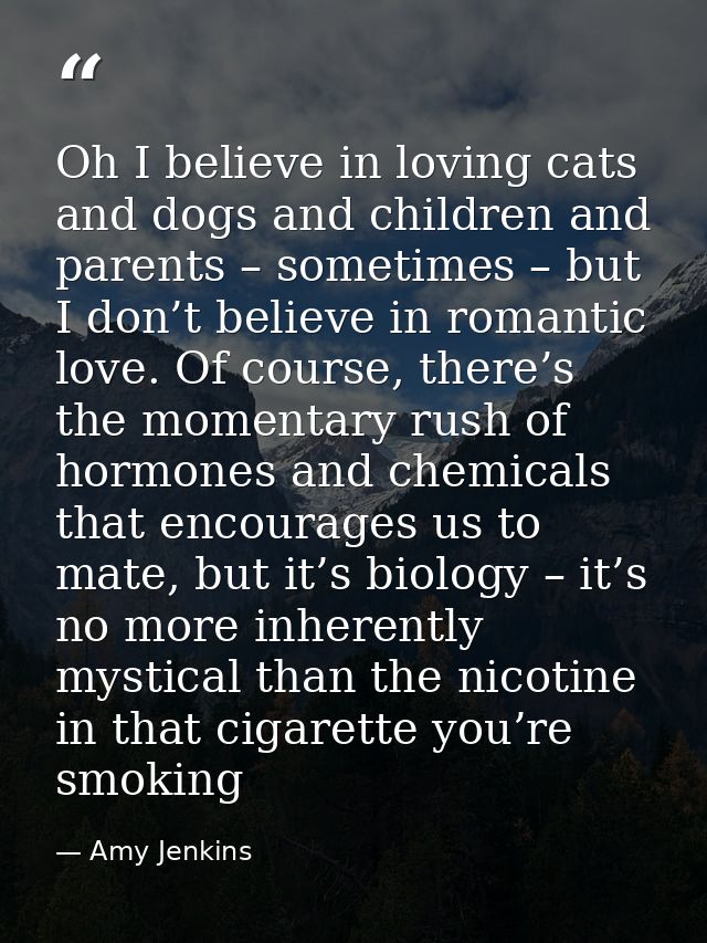 Oh I believe in loving cats and dogs and children and parents – sometimes – but I don’t believe in romantic love. Of cou — Amy Jenkins