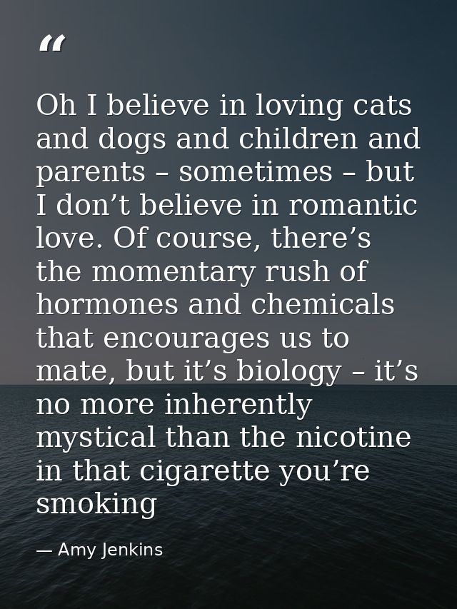 Oh I believe in loving cats and dogs and children and parents – sometimes – but I don’t believe in romantic love. Of cou — Amy Jenkins