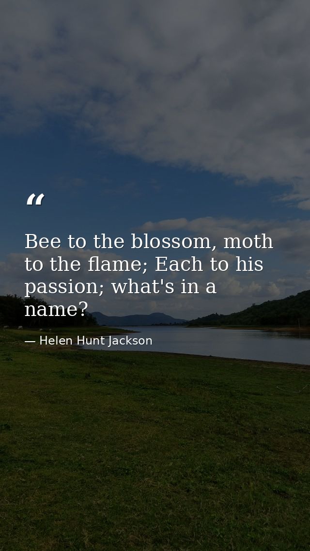 Bee to the blossom, moth to the flame; Each to his passion; what's in a name? — Helen Hunt Jackson