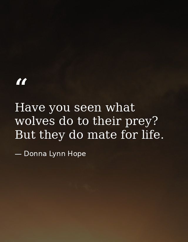 Have you seen what wolves do to their prey? But they do mate for life. — Donna Lynn Hope