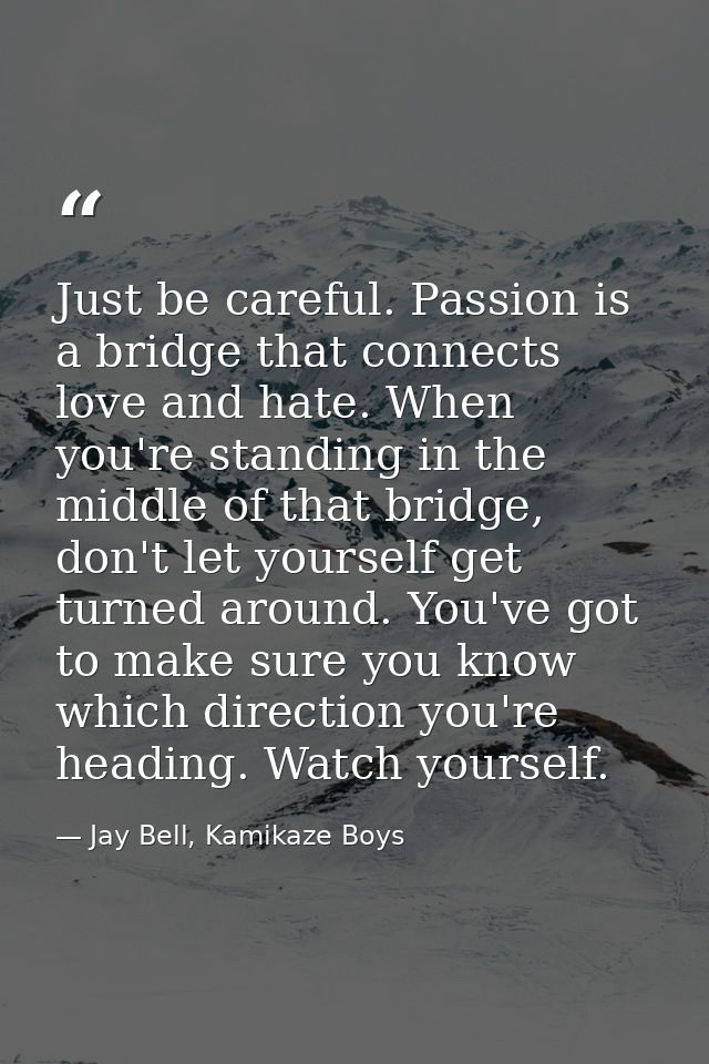 Just be careful. Passion is a bridge that connects love and hate. When you're standing in the middle of that bridge, don — Jay Bell, Kamikaze Boys