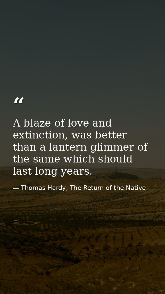 A blaze of love and extinction, was better than a lantern glimmer of the same which should last long years. — Thomas Hardy, The Return of the Native