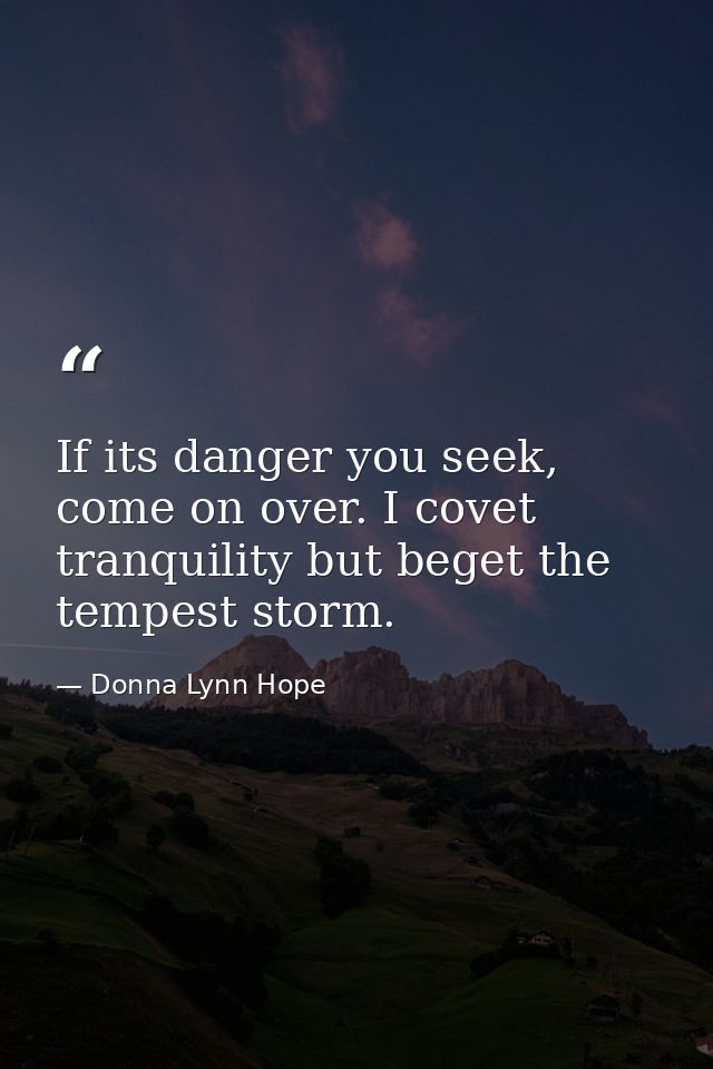If its danger you seek, come on over. I covet tranquility but beget the tempest storm. — Donna Lynn Hope