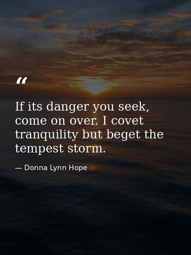 If its danger you seek, come on over. I covet tranquility but beget the tempest storm. — Donna Lynn Hope