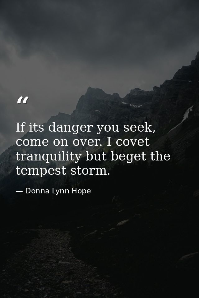 If its danger you seek, come on over. I covet tranquility but beget the tempest storm. — Donna Lynn Hope
