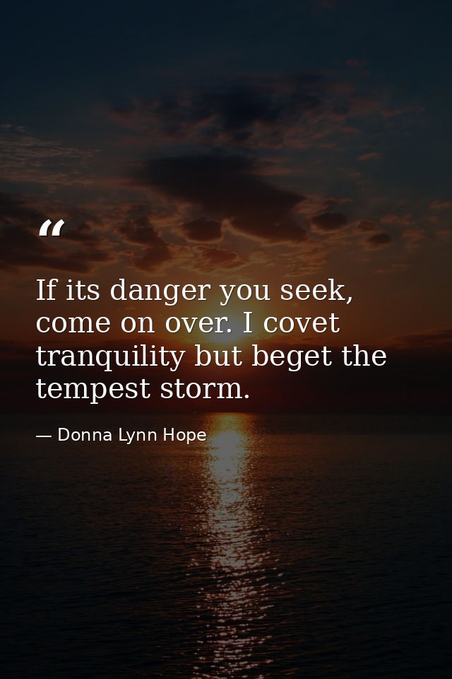 If its danger you seek, come on over. I covet tranquility but beget the tempest storm. — Donna Lynn Hope