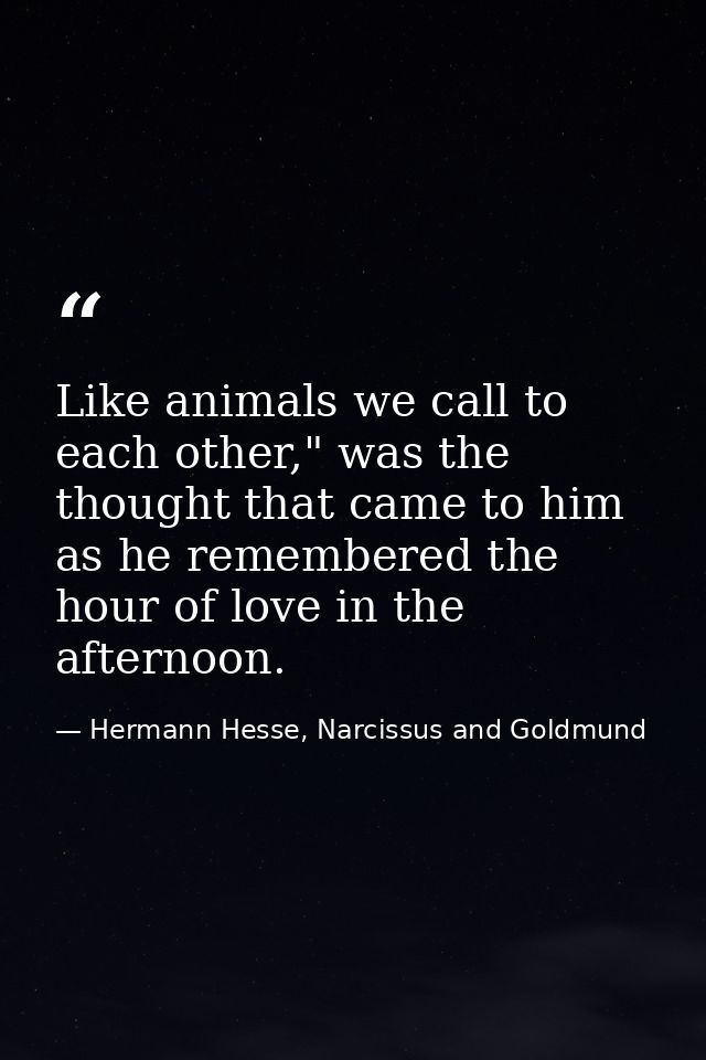 Like animals we call to each other," was the thought that came to him as he remembered the hour of love in the afternoon — Hermann Hesse, Narcissus and Goldmund
