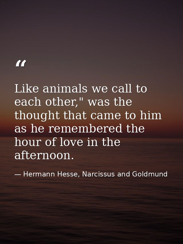 Like animals we call to each other," was the thought that came to him as he remembered the hour of love in the afternoon — Hermann Hesse, Narcissus and Goldmund