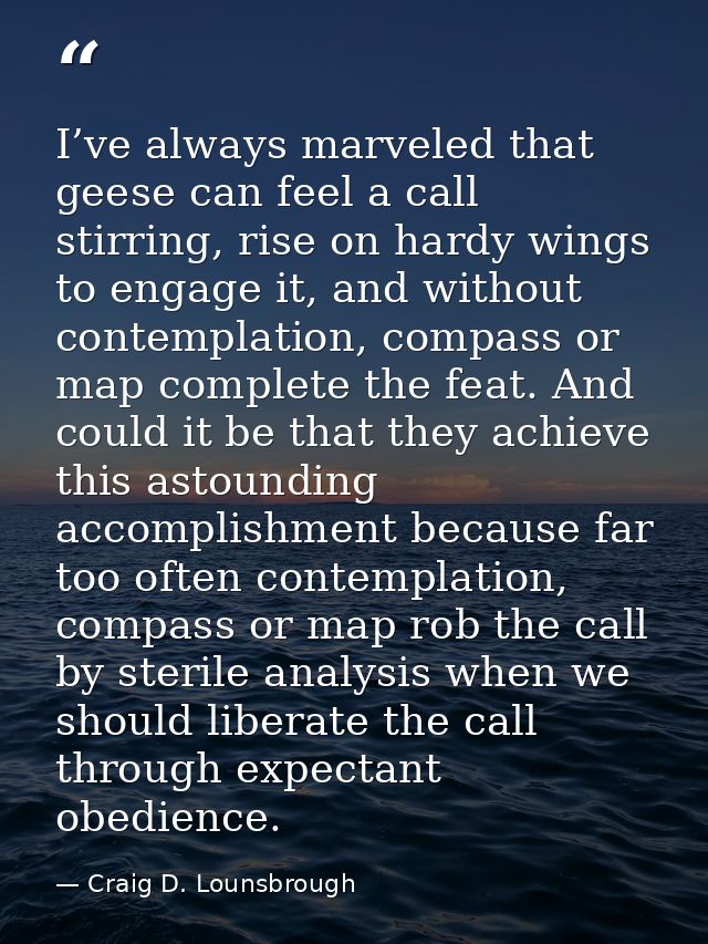 I’ve always marveled that geese can feel a call stirring, rise on hardy wings to engage it, and without contemplation, c — Craig D. Lounsbrough