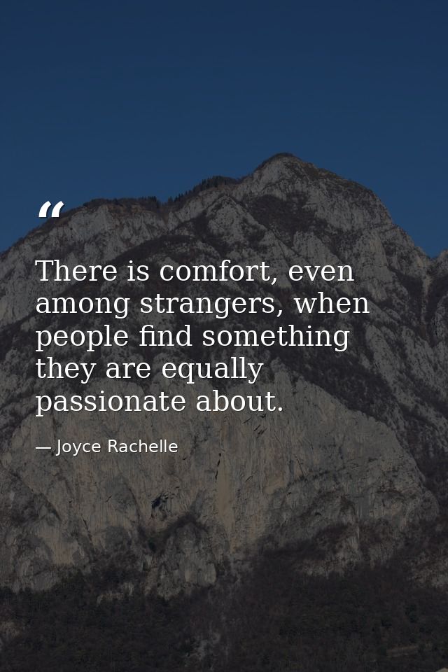 There is comfort, even among strangers, when people find something they are equally passionate about. — Joyce Rachelle