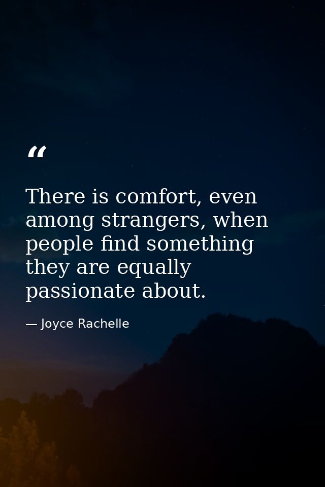 There is comfort, even among strangers, when people find something they are equally passionate about. — Joyce Rachelle