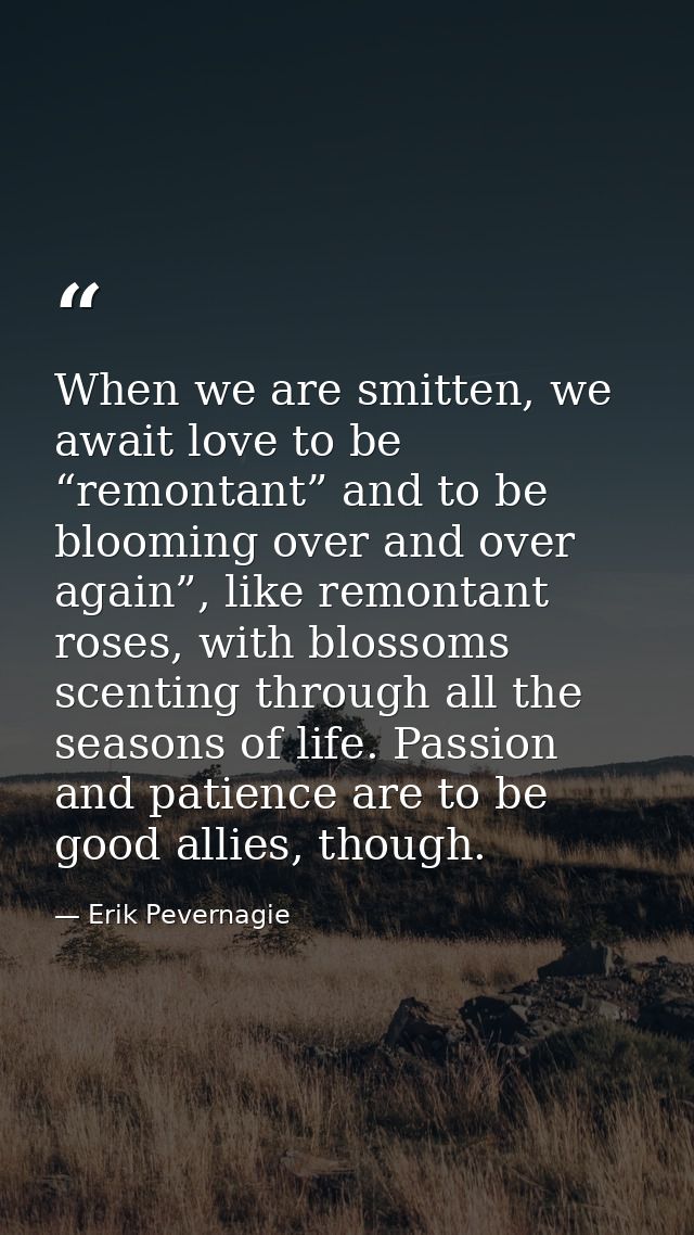 When we are smitten, we await love to be “remontant” and to be blooming over and over again”, like remontant roses, with — Erik Pevernagie