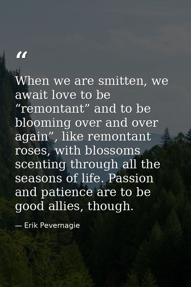 When we are smitten, we await love to be “remontant” and to be blooming over and over again”, like remontant roses, with — Erik Pevernagie