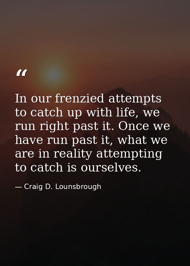 In our frenzied attempts to catch up with life, we run right past it. Once we have run past it, what we are in reality a — Craig D. Lounsbrough
