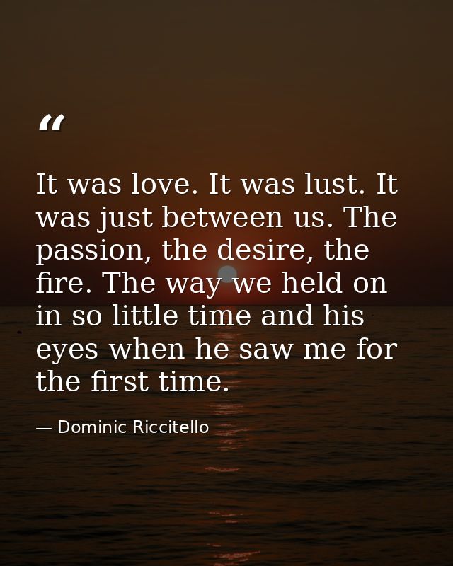 It was love. It was lust. It was just between us. The passion, the desire, the fire. The way we held on in so little tim — Dominic Riccitello