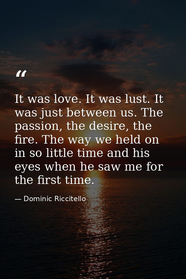 It was love. It was lust. It was just between us. The passion, the desire, the fire. The way we held on in so little tim — Dominic Riccitello