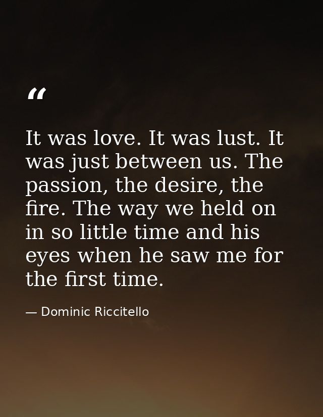 It was love. It was lust. It was just between us. The passion, the desire, the fire. The way we held on in so little tim — Dominic Riccitello