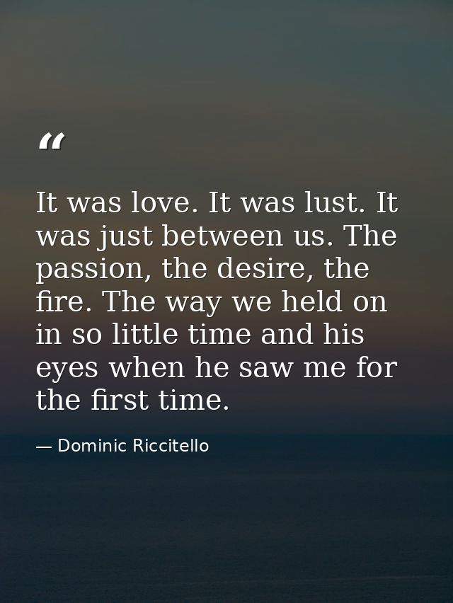 It was love. It was lust. It was just between us. The passion, the desire, the fire. The way we held on in so little tim — Dominic Riccitello