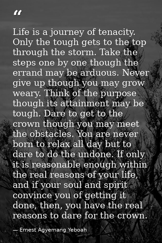 Life is a journey of tenacity. Only the tough gets to the top through the storm. Take the steps one by one though the er — Ernest Agyemang Yeboah