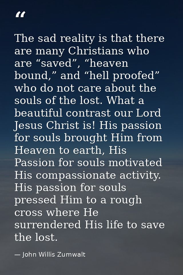 The sad reality is that there are many Christians who are “saved”, “heaven bound,” and “hell proofed” who do not care ab — John Willis Zumwalt