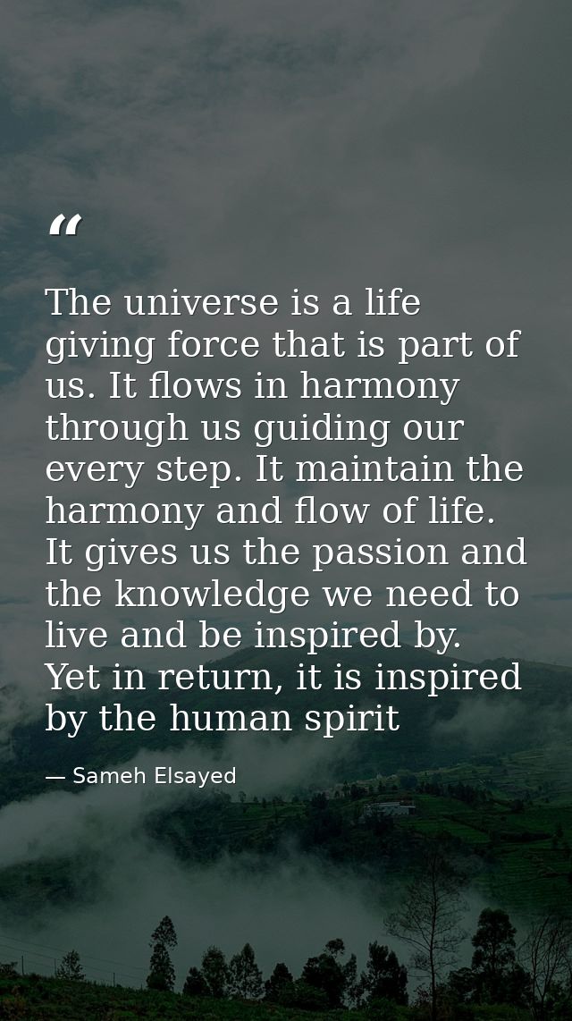 The universe is a life giving force that is part of us. It flows in harmony through us guiding our every step. It mainta — Sameh Elsayed