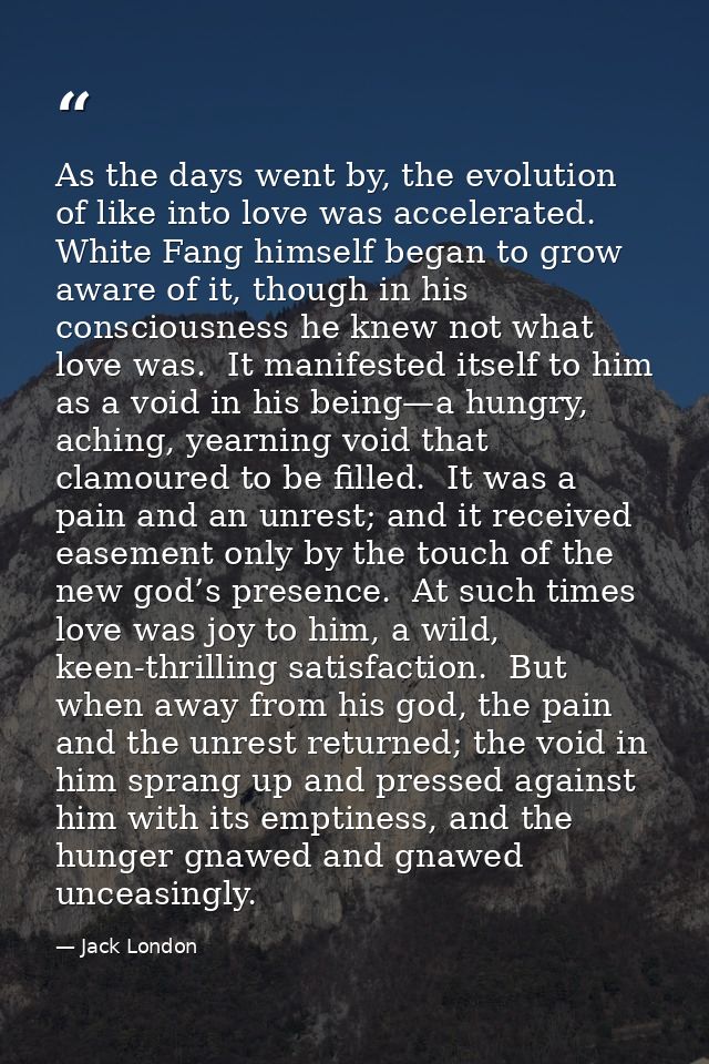 As the days went by, the evolution of like into love was accelerated.  White Fang himself began to grow aware of it, tho — Jack London