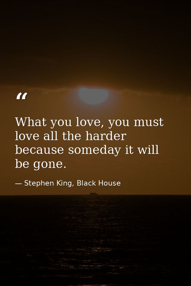 What you love, you must love all the harder because someday it will be gone. — Stephen King, Black House