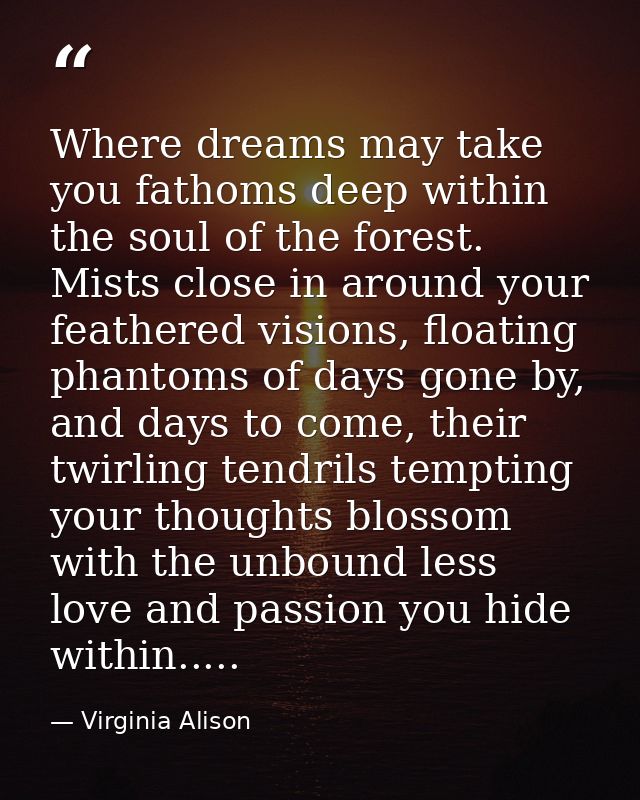 Where dreams may take you fathoms deep within the soul of the forest. Mists close in around your feathered visions, floa — Virginia Alison