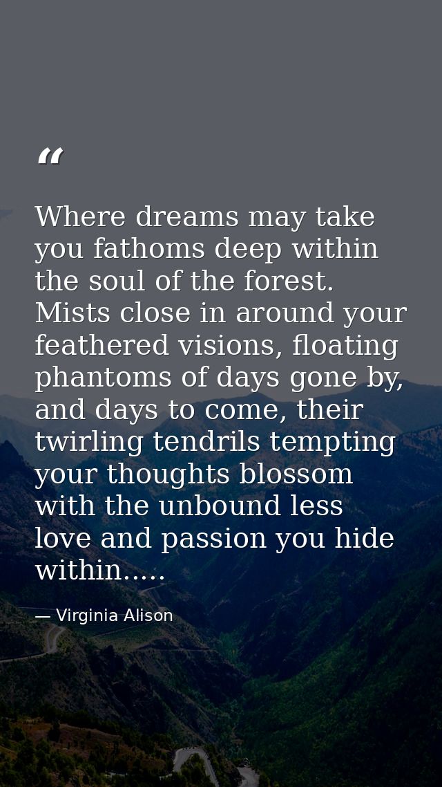 Where dreams may take you fathoms deep within the soul of the forest. Mists close in around your feathered visions, floa — Virginia Alison