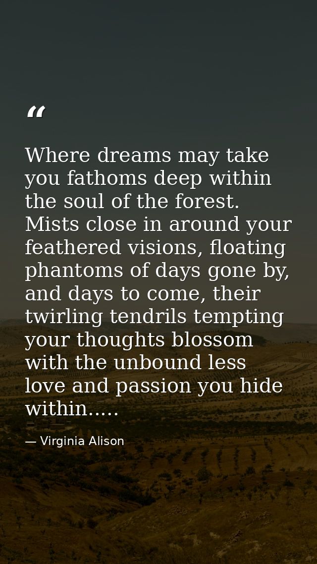 Where dreams may take you fathoms deep within the soul of the forest. Mists close in around your feathered visions, floa — Virginia Alison