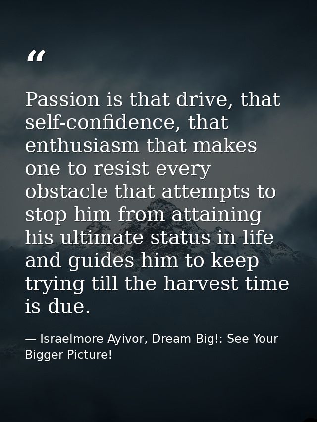 Passion is that drive, that self-confidence, that enthusiasm that makes one to resist every obstacle that attempts to st — Israelmore Ayivor, Dream Big!: See Your Bigger Picture!
