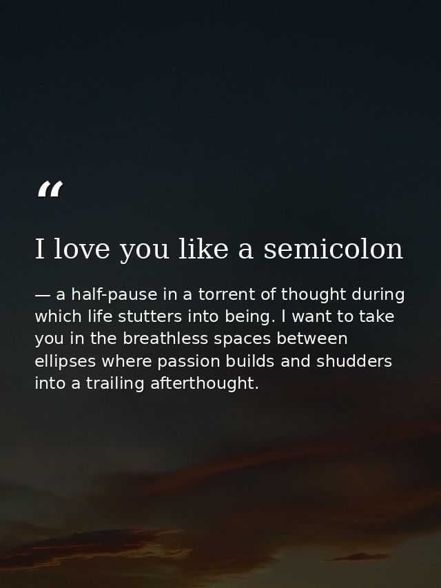 I love you like a semicolon — a half-pause in a torrent of thought during which life stutters into being. I want to take you in the breathless spaces between ellipses where passion builds and shudders into a trailing afterthought.
