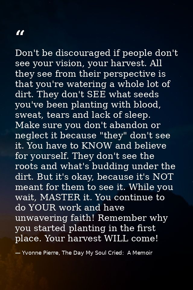 Don't be discouraged if people don't see your vision, your harvest. All they see from their perspective is that you're w — Yvonne Pierre, The Day My Soul Cried:  A Memoir