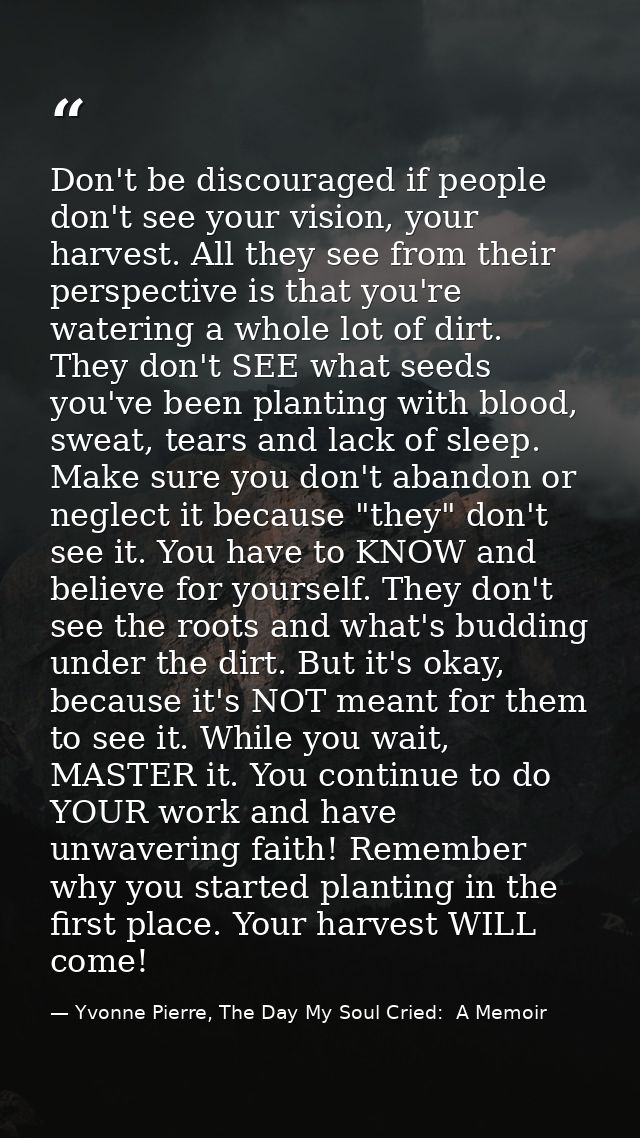 Don't be discouraged if people don't see your vision, your harvest. All they see from their perspective is that you're w — Yvonne Pierre, The Day My Soul Cried:  A Memoir