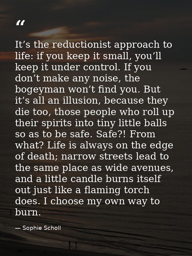 It’s the reductionist approach to life: if you keep it small, you’ll keep it under control. If you don’t make any noise, — Sophie Scholl