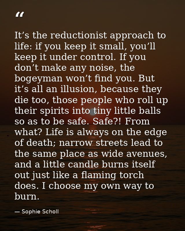 It’s the reductionist approach to life: if you keep it small, you’ll keep it under control. If you don’t make any noise, — Sophie Scholl