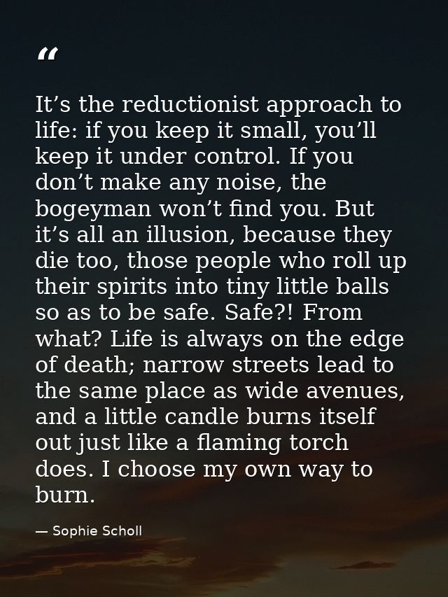 It’s the reductionist approach to life: if you keep it small, you’ll keep it under control. If you don’t make any noise, — Sophie Scholl