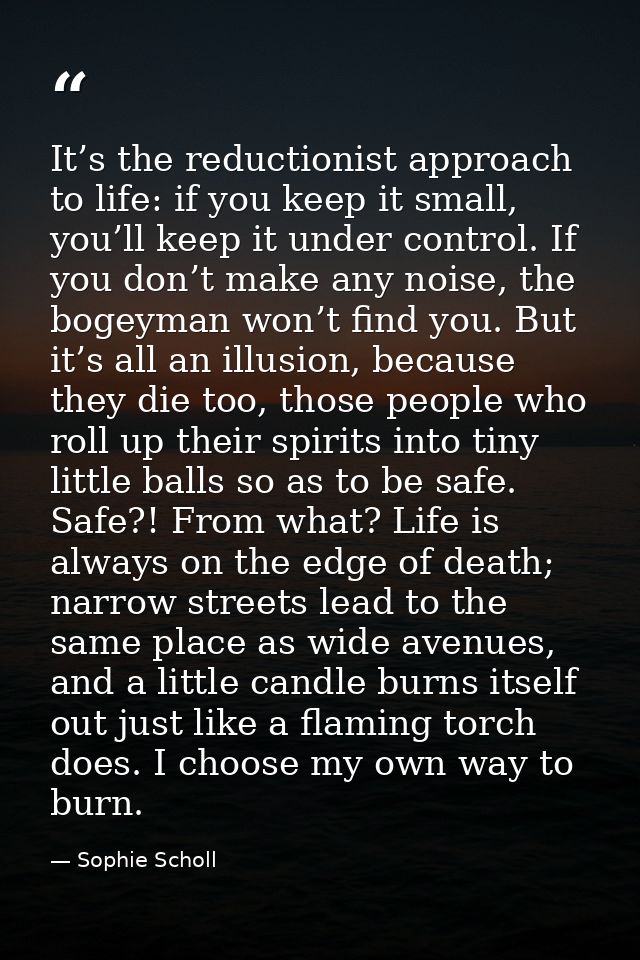 It’s the reductionist approach to life: if you keep it small, you’ll keep it under control. If you don’t make any noise, — Sophie Scholl