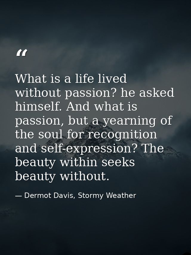 What is a life lived without passion? he asked himself. And what is passion, but a yearning of the soul for recognition  — Dermot Davis, Stormy Weather