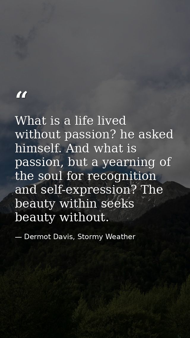 What is a life lived without passion? he asked himself. And what is passion, but a yearning of the soul for recognition  — Dermot Davis, Stormy Weather