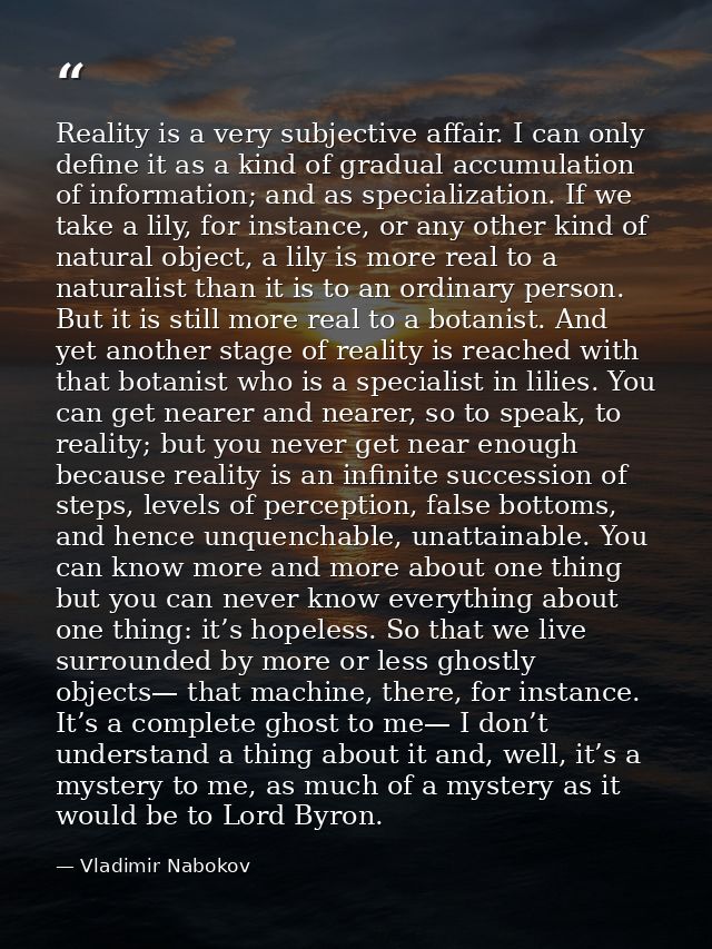 Reality is a very subjective affair. I can only define it as a kind of gradual accumulation of information; and as speci — Vladimir Nabokov